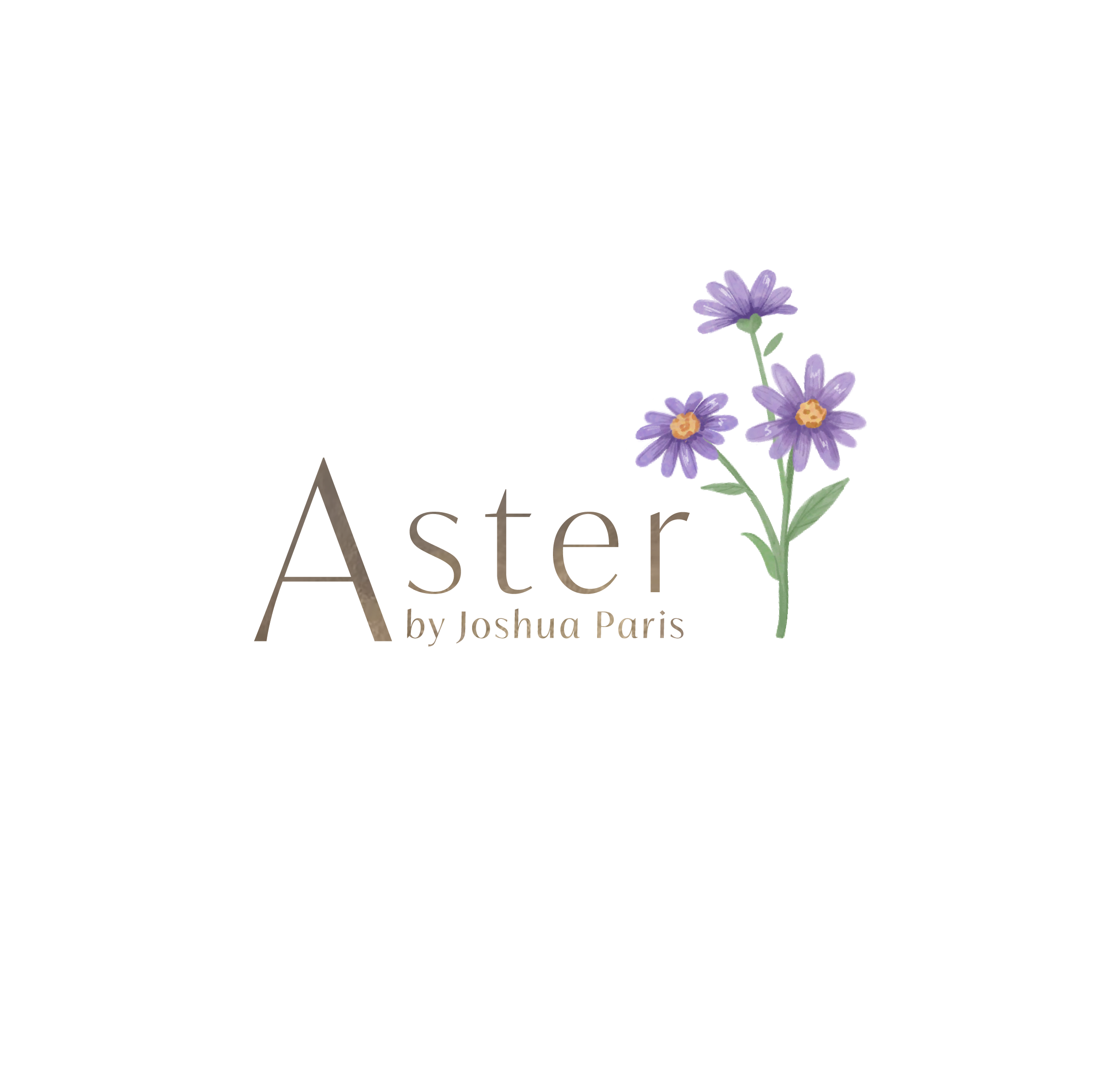 Aster by Joshua Paris